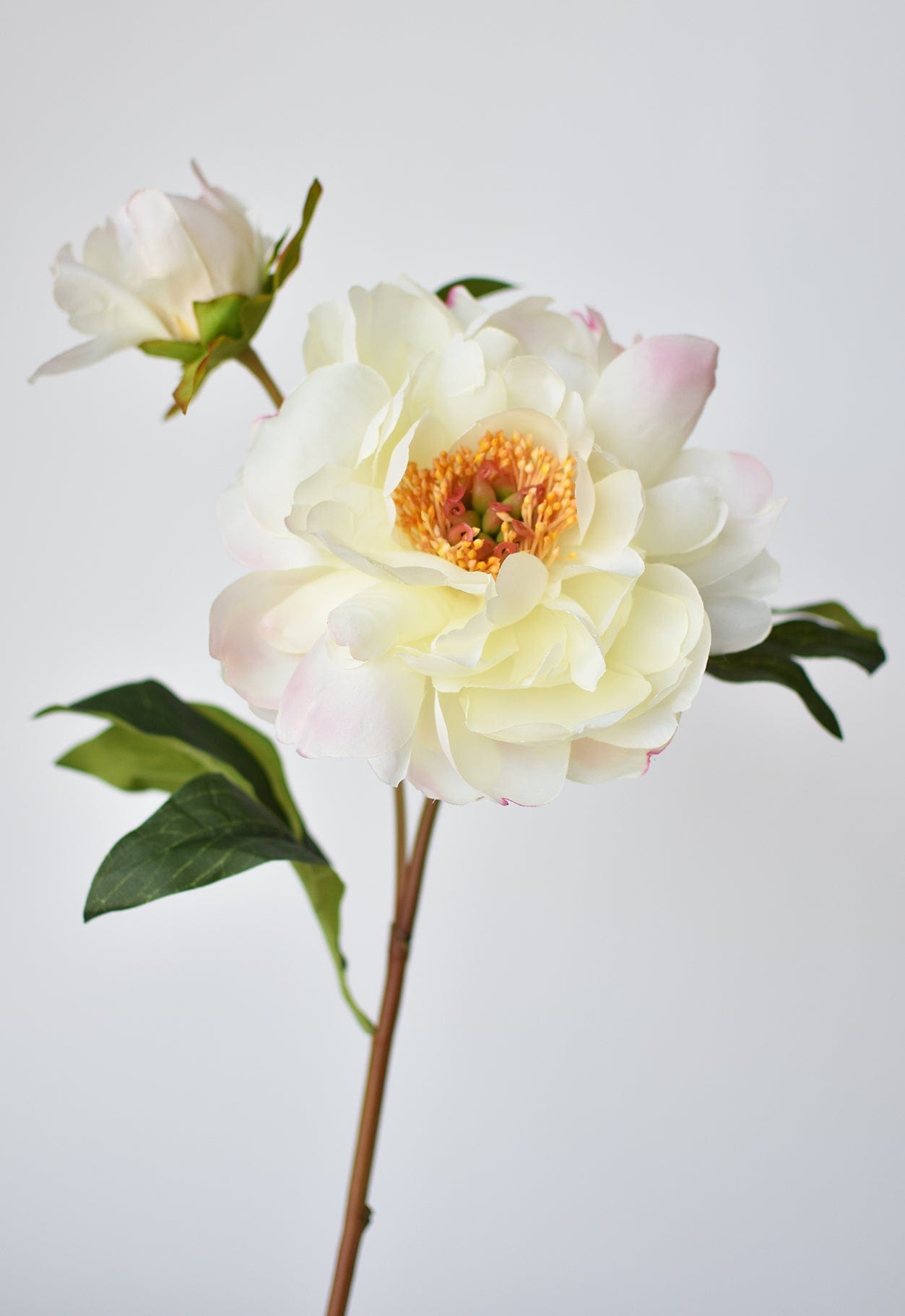 22.5&#x22; Faux Peony Stem w/Bud Cream White