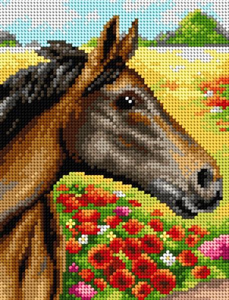 Needlepoint Canvas for halfstitch Without Yarn on The Meadow 2227F - Printed Tapestry Canvas