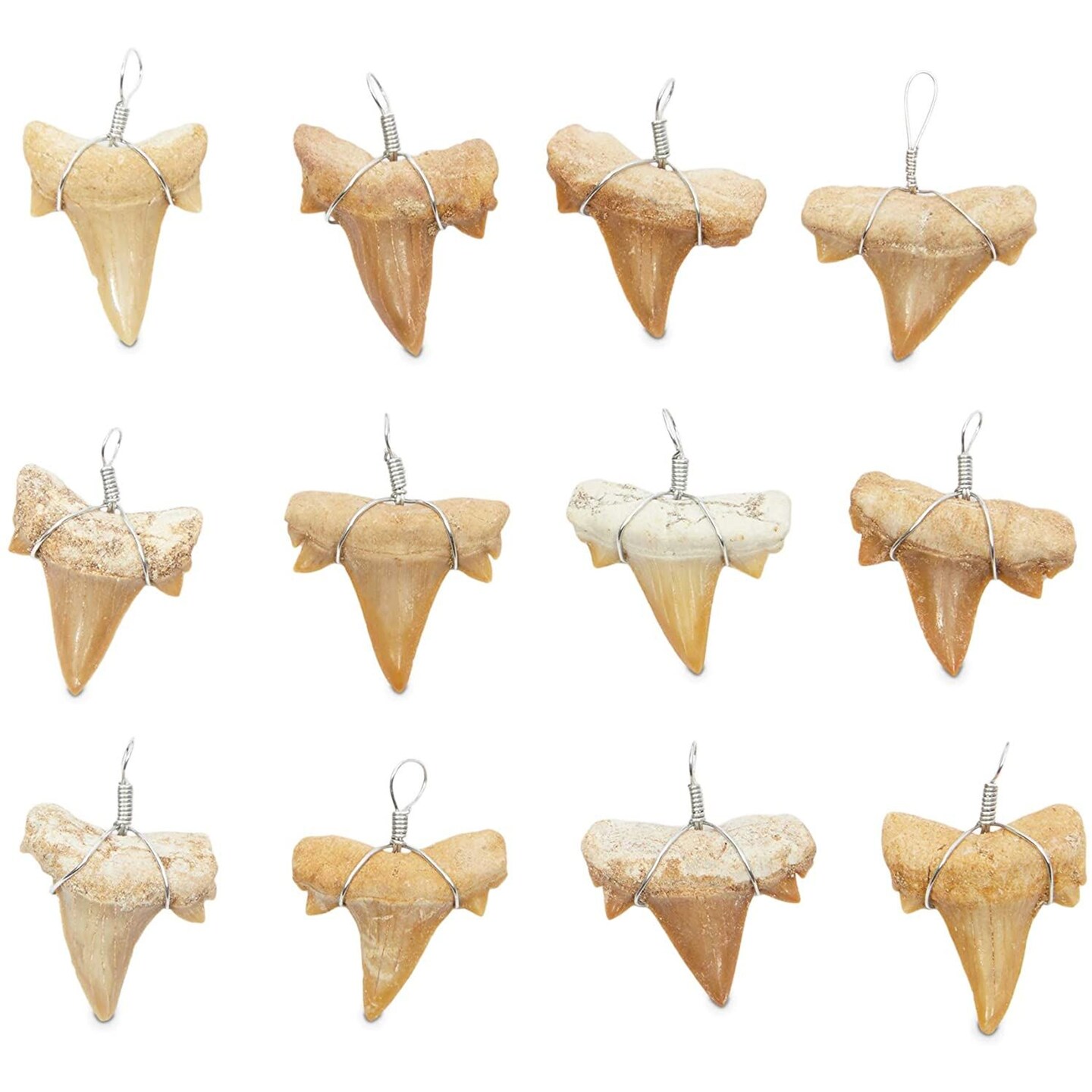 12 Pack Shark Teeth Necklace Pendants for DIY Crafts 0.8 x 1 In