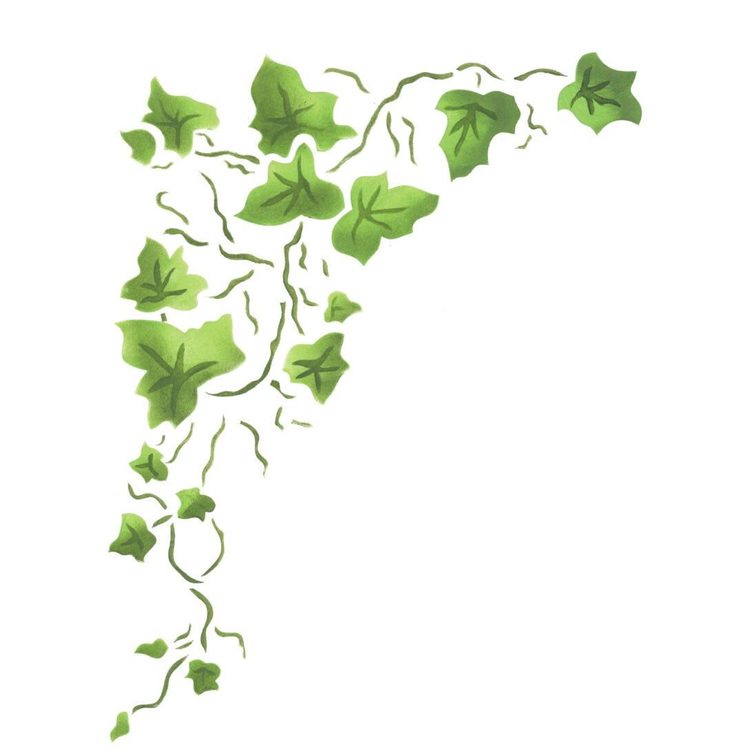 Small Corner Ivy Wall Stencil | 310B by Designer Stencils | Floral Stencils |
