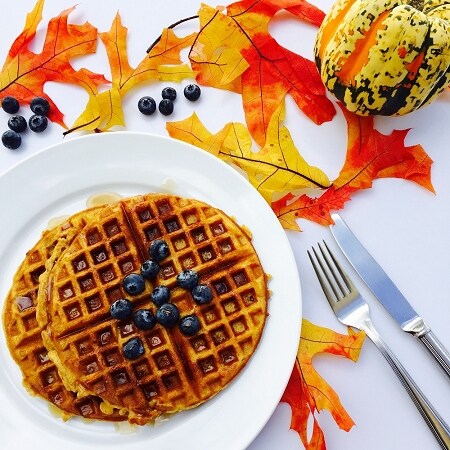 Blueberry Pumpkin Waffle Fragrance Oil (Our Version of the Brand Name) (4 oz Bottle) for Candle Making, Soap Making, Tart Making, Room Sprays, Lotions, Car Fresheners, Slime, Bath Bombs, Warmers&#x2026;