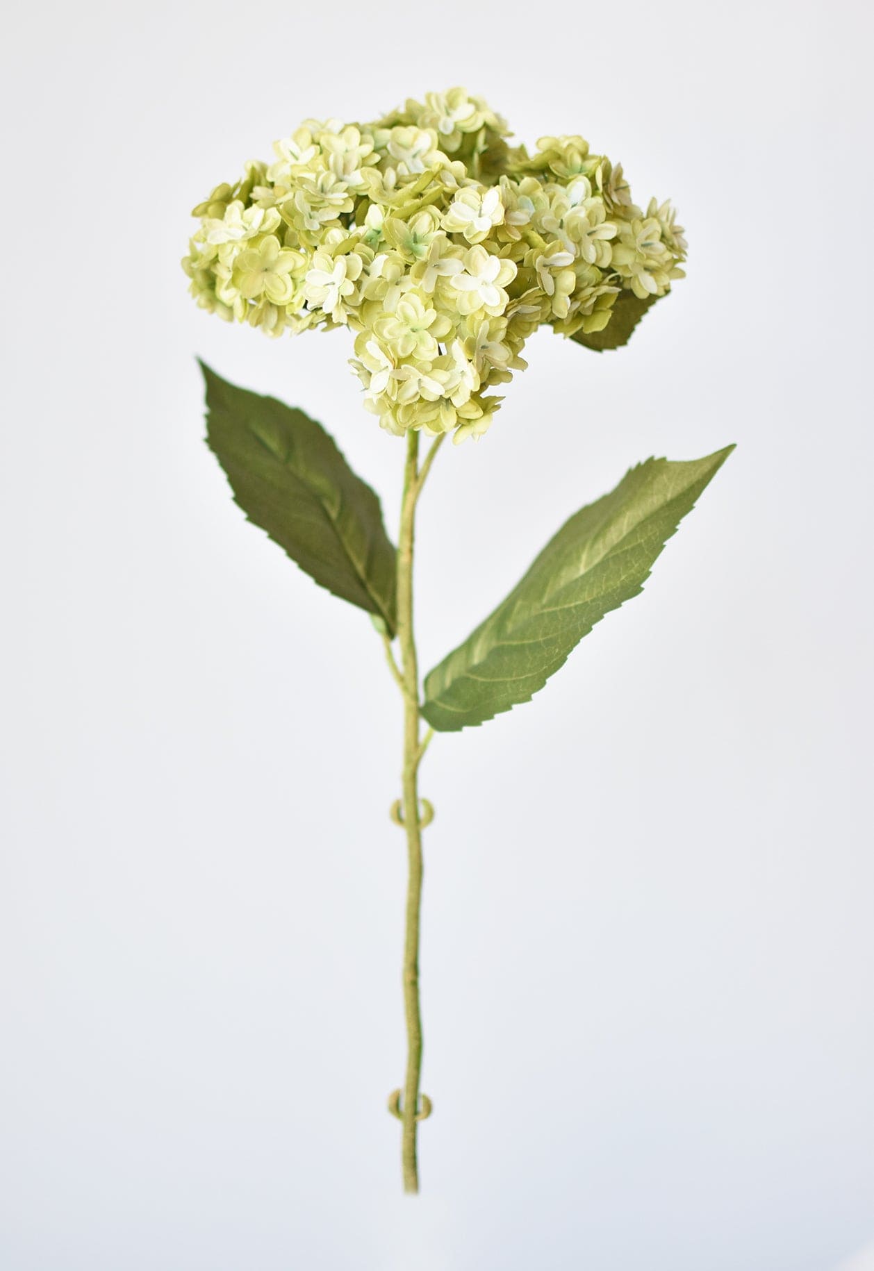 25&#x22; Faux Hydrangea Stem Apple Green