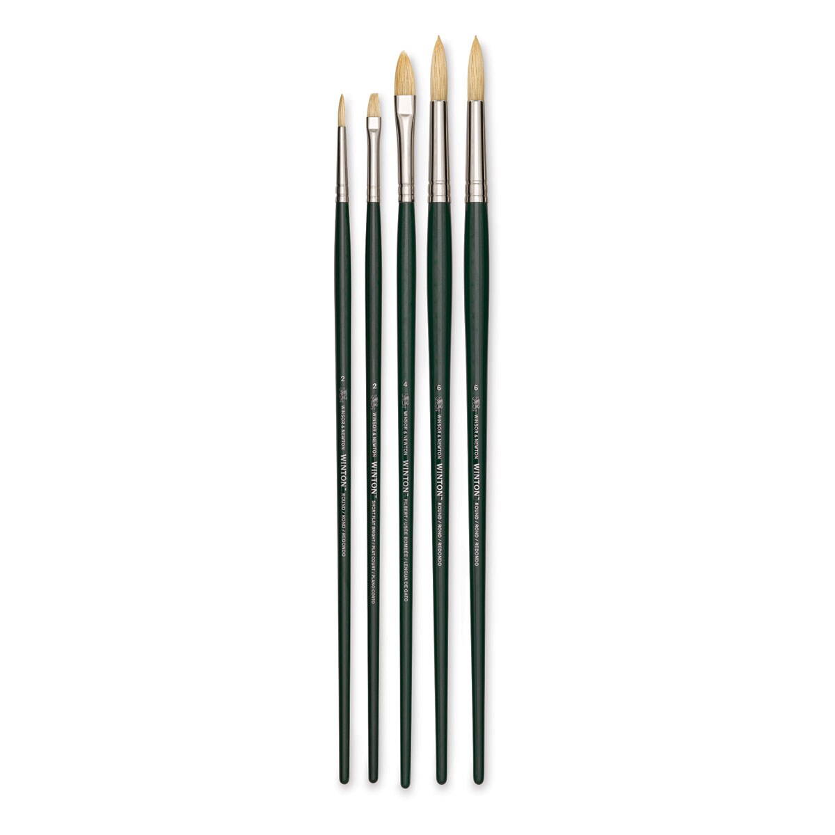 Winsor &#x26; Newton Winton Hog Bristle Brushes - Assorted, Pkg of 5