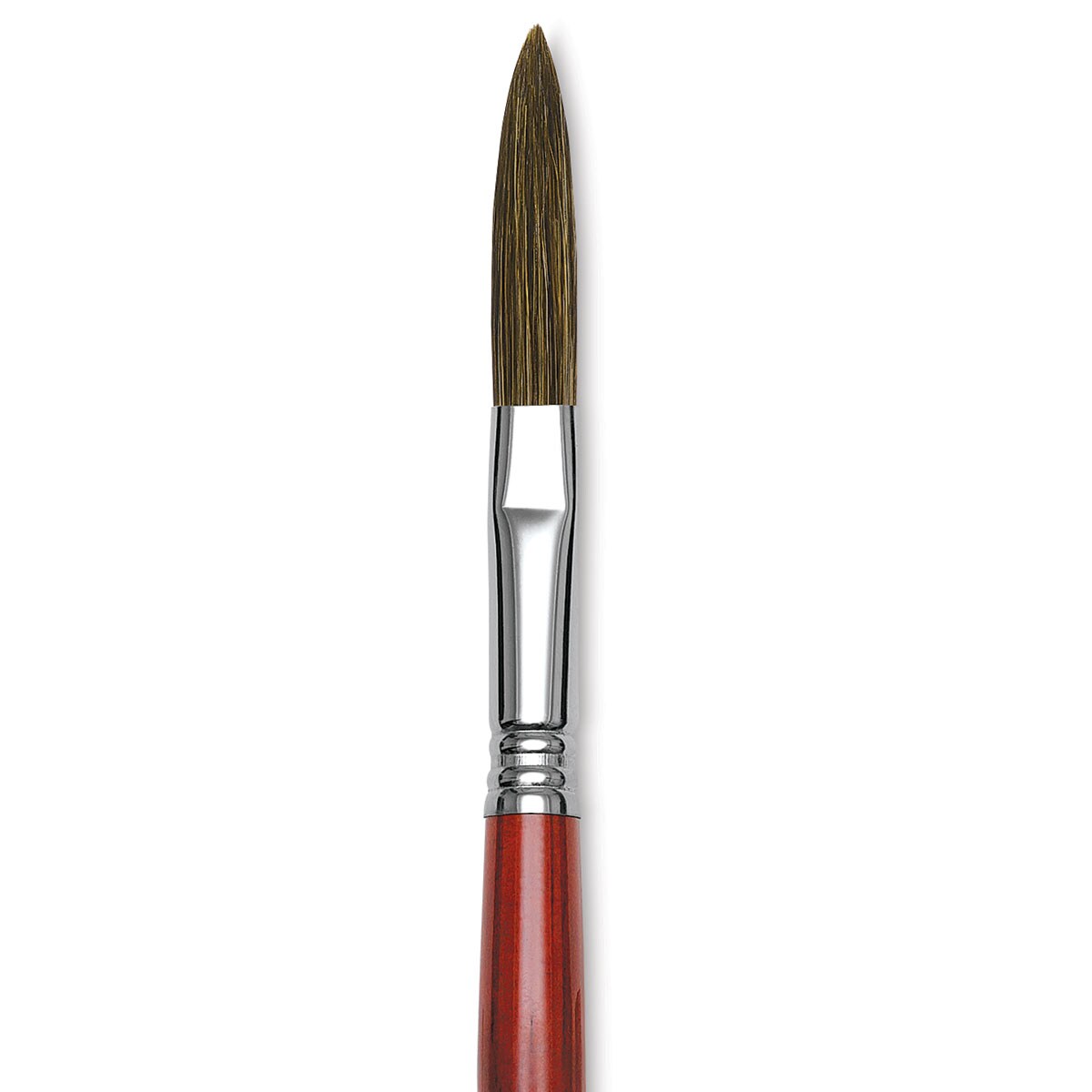 Escoda Prado 14 Filbert Pinsel – Kurzer Kunststoffgriff, Zahm Burgunder, 11,6 Mm Durchmesser | Für Öl- & Acrylfarbe
