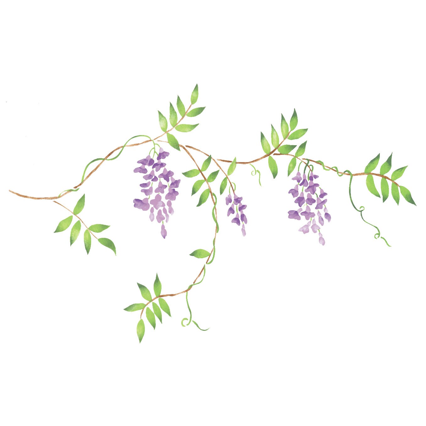 Large Wisteria Vine Wall Stencil | 2962 by Designer Stencils | Floral Stencils | Reusable Art Craft Stencils for Painting on Walls, Canvas, Wood | Reusable Plastic Paint Stencil for Home Makeover | Easy to Use &#x26; Clean Art Stencil