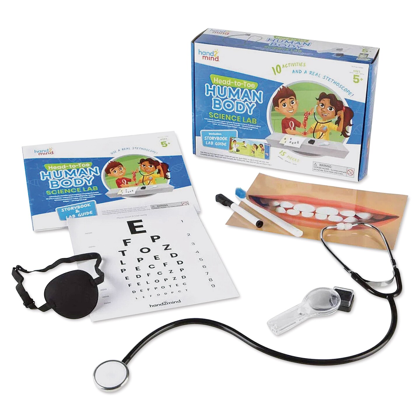 Hand2Mind Head-to-Toe Human Body Science Lab, Count: 1, Model: 92392 ...