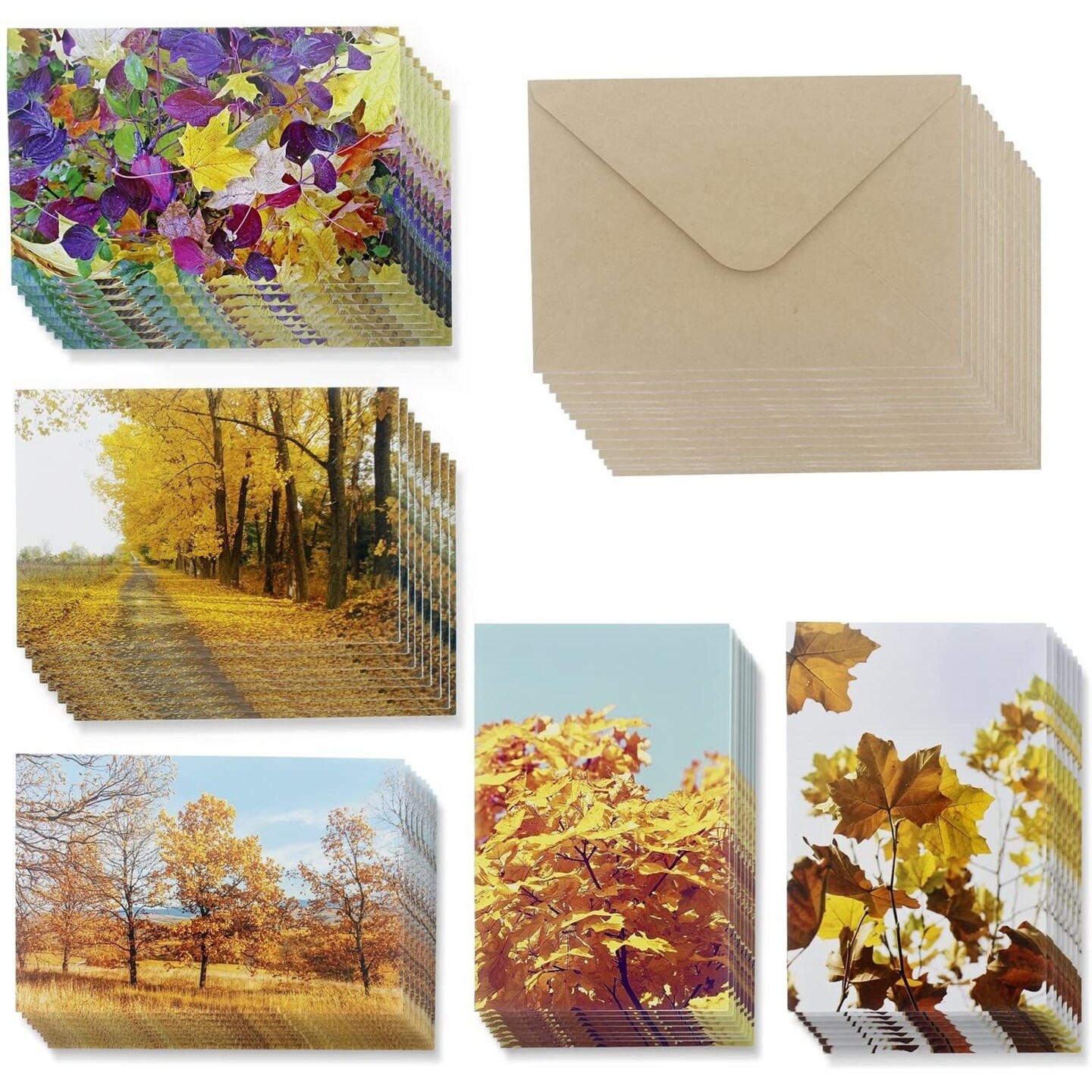 48 Pack All Occasion Blank Greeting Cards and Envelopes Set, 5 Fall Designs, 4x6 in