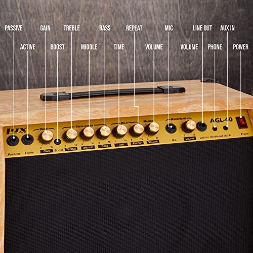 LyxPro Electric Guitar Amp, 40 Watt Portable Amplifier