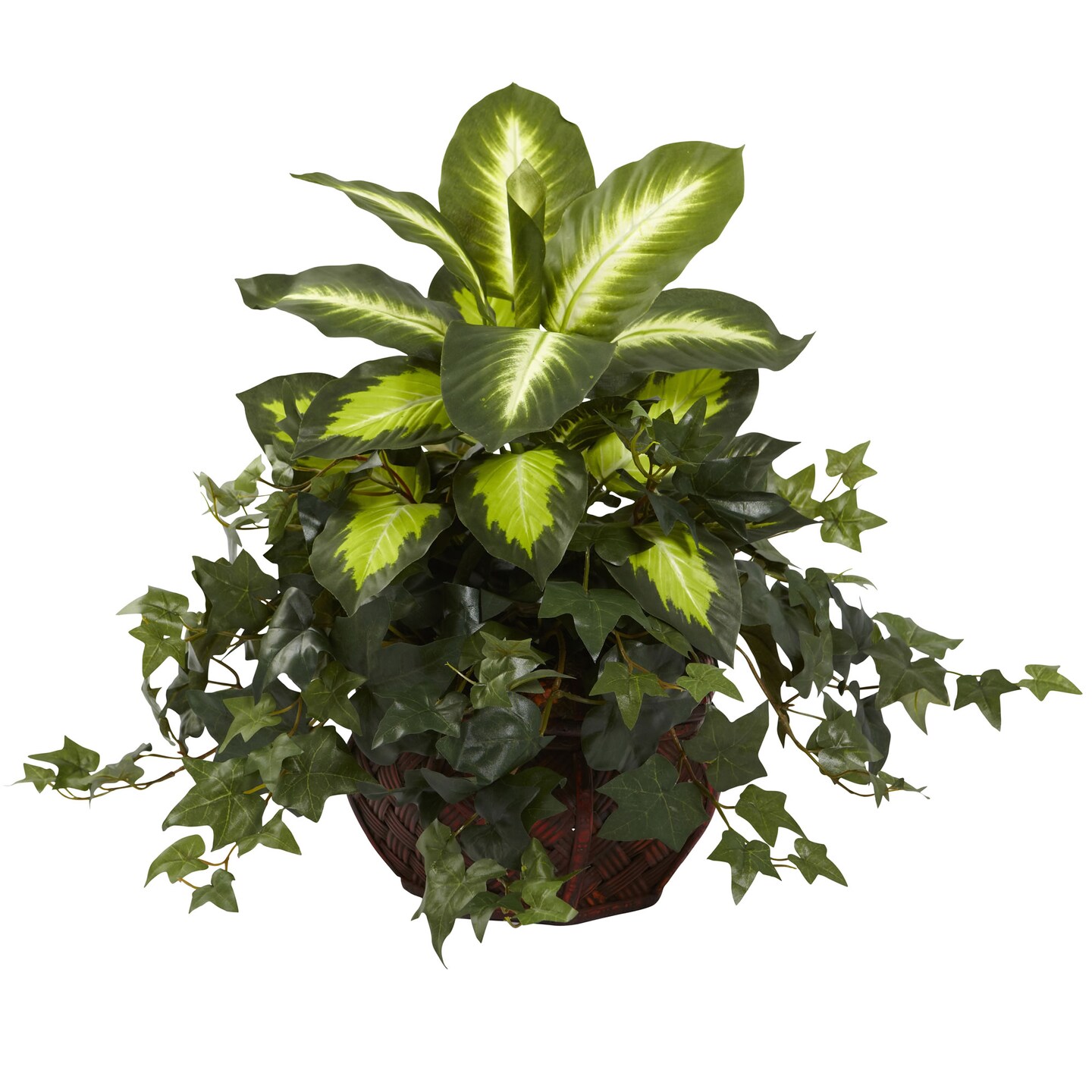 golden pothos yellow Golden Pothos (S)