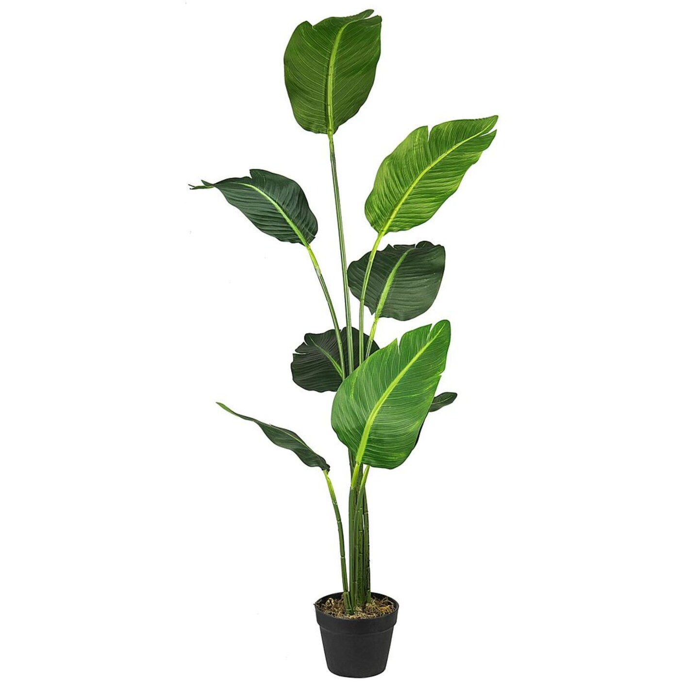LCG Sales 60" Green and Black Bird of Paradise Artificial Plant in Pot