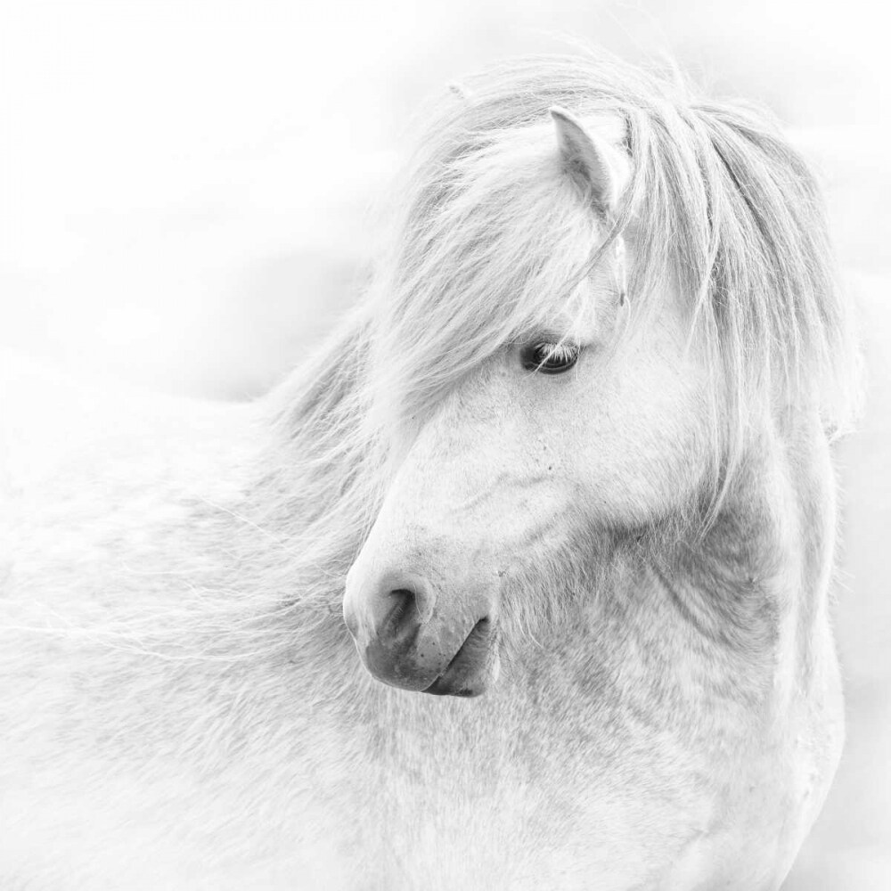 A Quiet Moment Poster Print by Phyllis Burchett - Item # VARPDXPB114