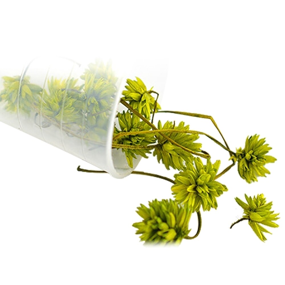 Generic 1 Bunch Pressed Dried Flower Branch Specimen Epoxy Resin Art Craft DIY Accessory Michaels