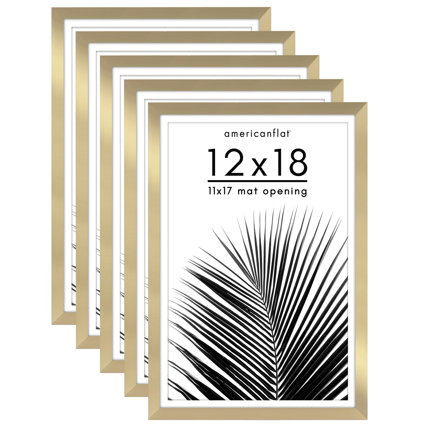 Americanflat Picture Frame Set with Mat - Set of 5 - Photo Frame Set of Five for Wall Display - Plexiglass Cover - Hanging Hardware