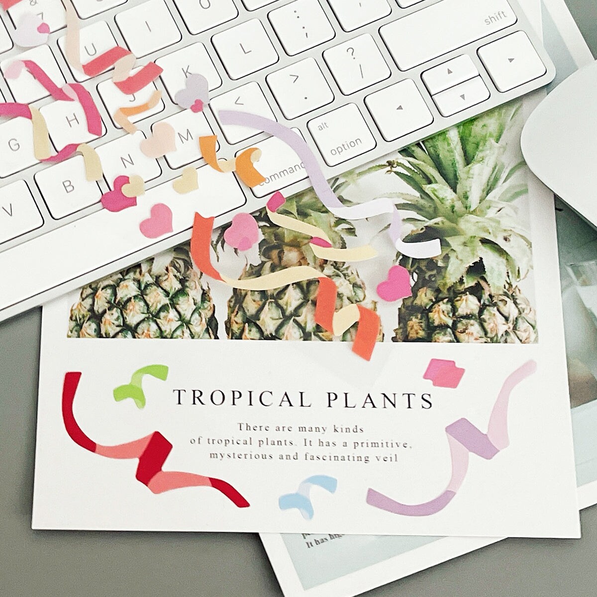 Wrapables Colorful Decorative Stickers for Scrapbooking, DIY Crafts, Stationery, Diary, Card Making