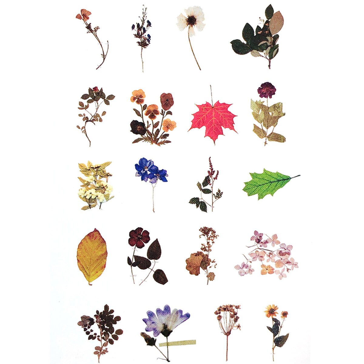 Wrapables Decorative Scrapbooking Washi Stickers, DIY Crafts for Stationery, Diary, Card Making (60 pcs)