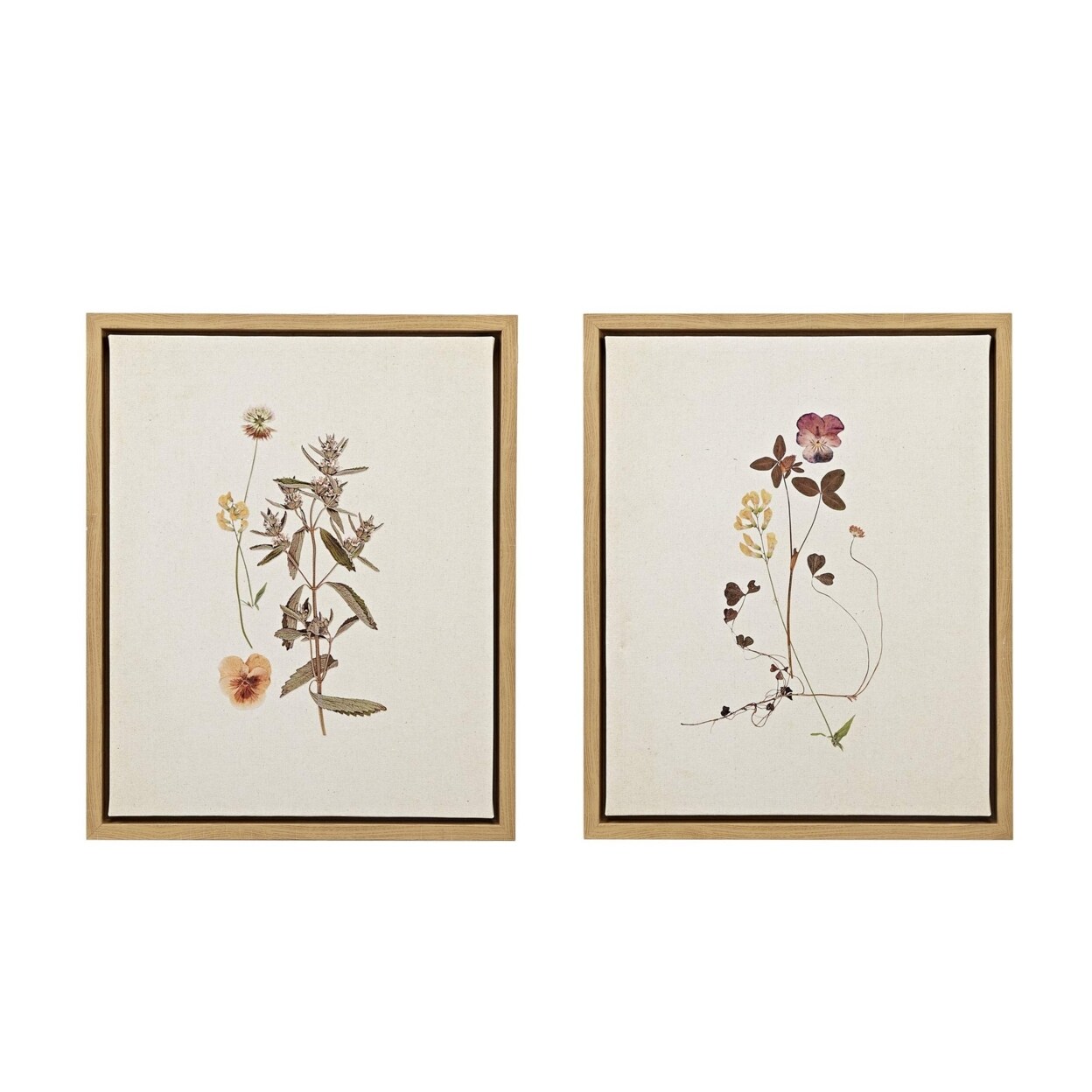 MARTHA STEWART French Herbarium Set Framed Linen Canvas 2 Piece Set See Below