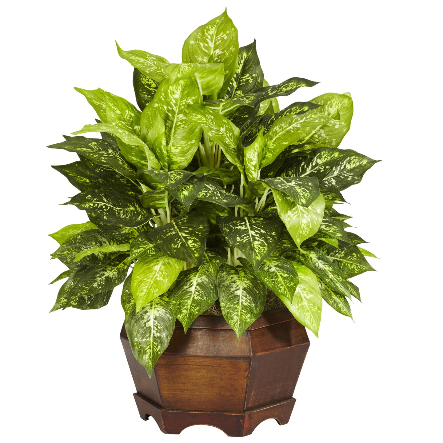 Nearly Natural 2' Artificial Variegated Dieffenbachia Large Hexagon
