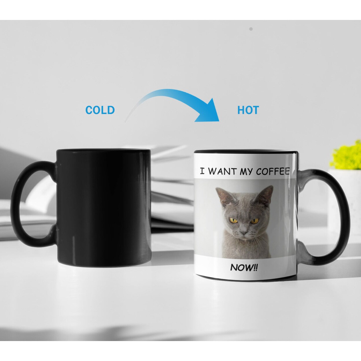 ONETIFY Heat Sensitive Cat Loves Coffee Ceramic Color Changing Mug