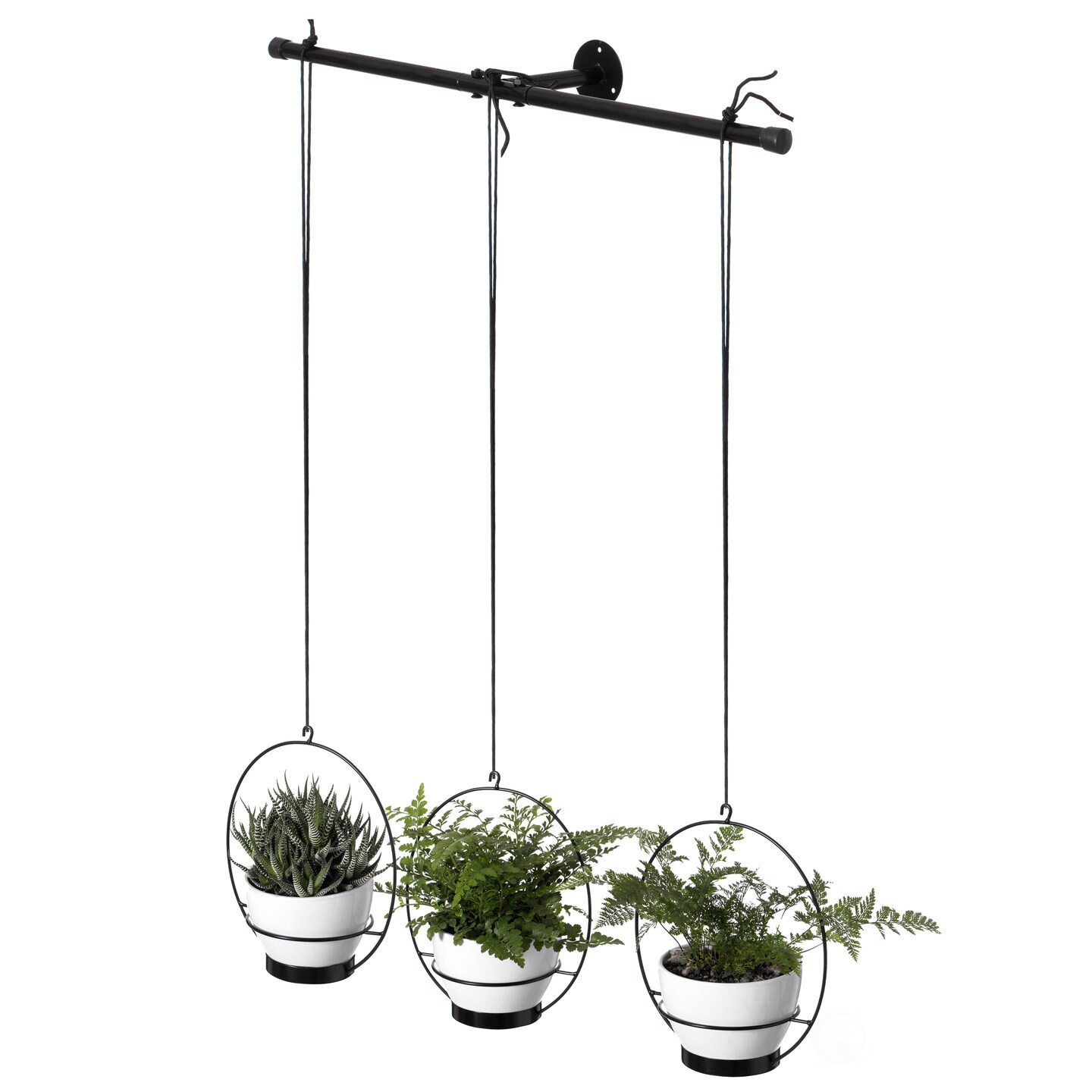 Transform Your Space with Decorative Hanging Pots: A Comprehensive Guide