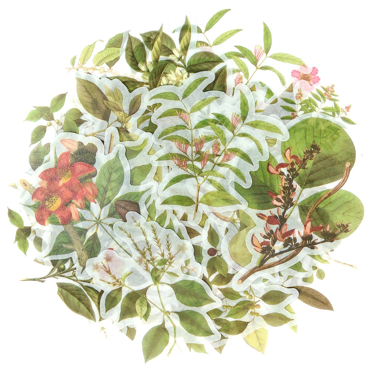 Wrapables Decorative Scrapbooking Washi Stickers, DIY Crafts for Stationery, Diary, Card Making (60 pcs)