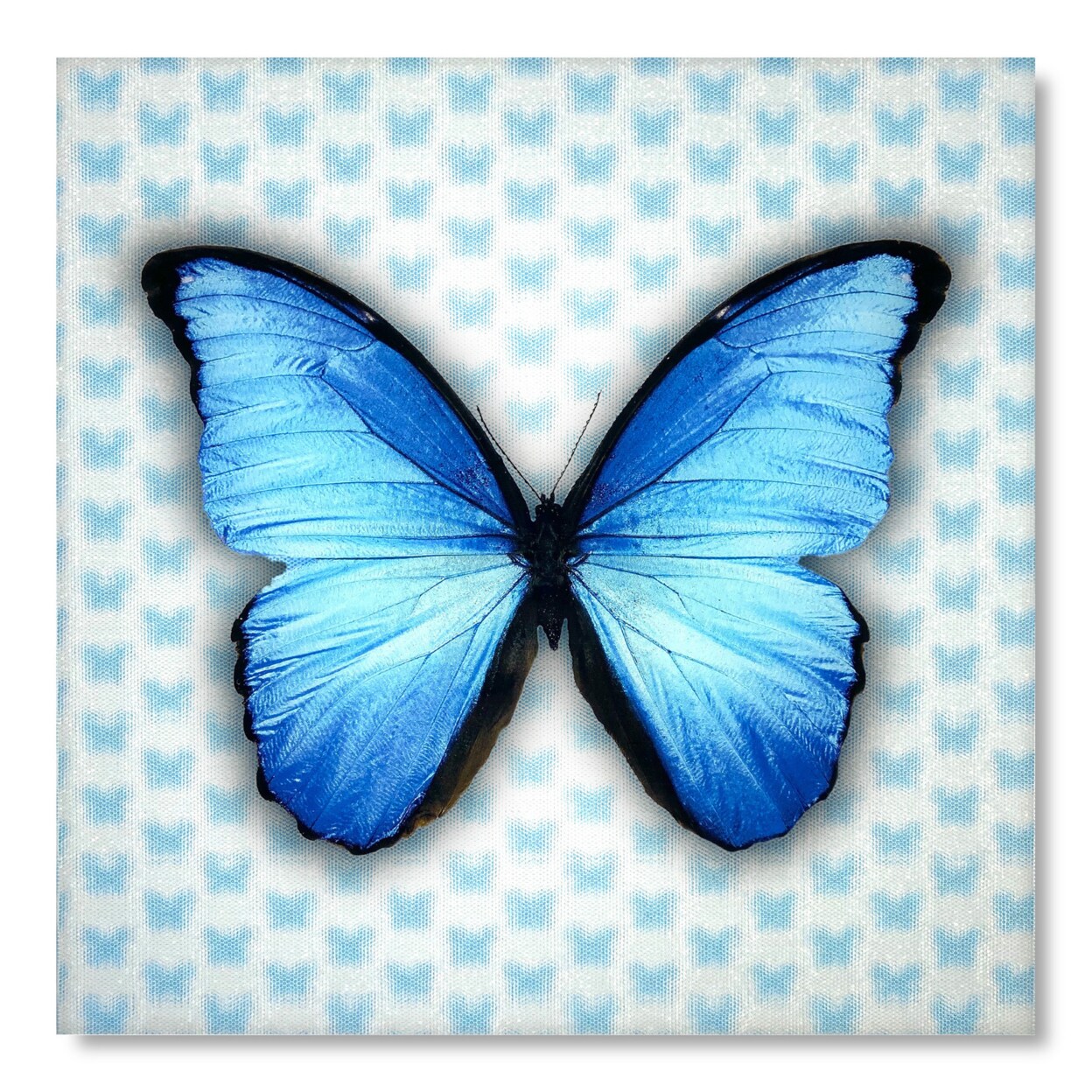 Blue butterfly drawing 15311121 PNG