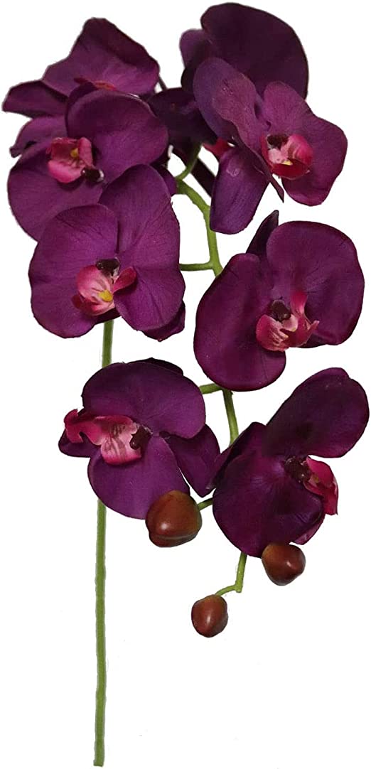 33.5" Purple Orchid Stems (12-Pack) - Lifelike Silk Flowers, Perfect for Bouquets, Events & Home Decor - Elegant Year-Round Decoration, Floral Home by Artificial Flowers