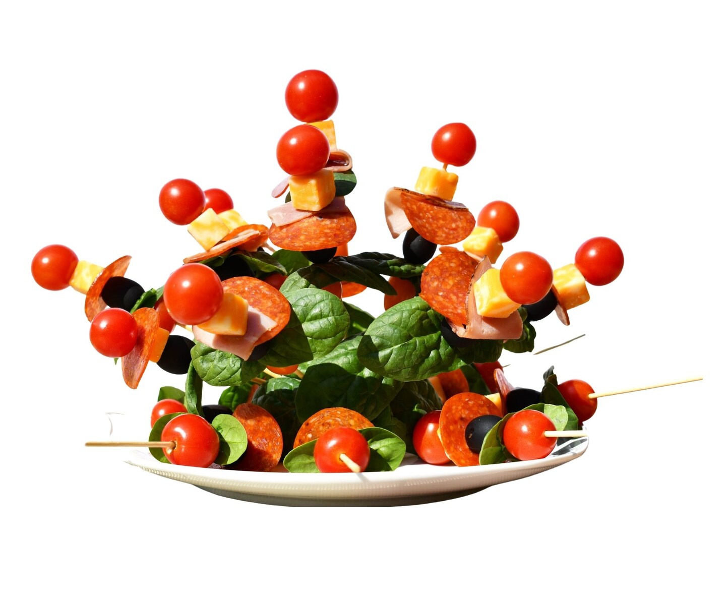 Skewer Food Server - The Dome Includes100 All Natural Bamboo Skewers to display bite-sized fruits, vegetables, meats, cheese, desserts, and other appetizers.