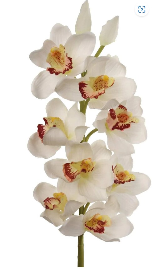 15-Inch Cream/White Silk Cymbidium Orchid Stem - Elegant and Realistic Floral Décor for Home Arrangements & Special Occasions - Timeless Beauty, Floral Home by Artificial Flowers