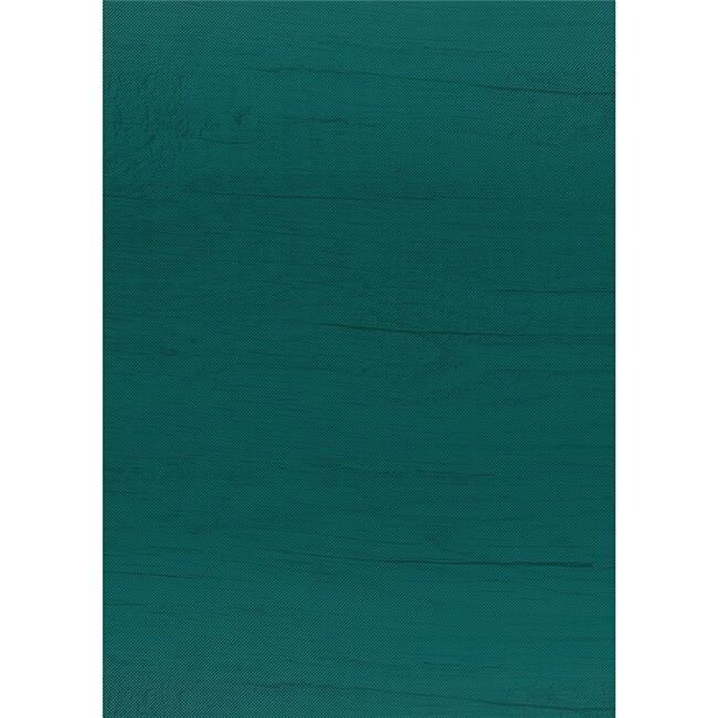 Teacher Created Resources TCR32210 4 x 12 ft. Hunter Green Paintd Wood