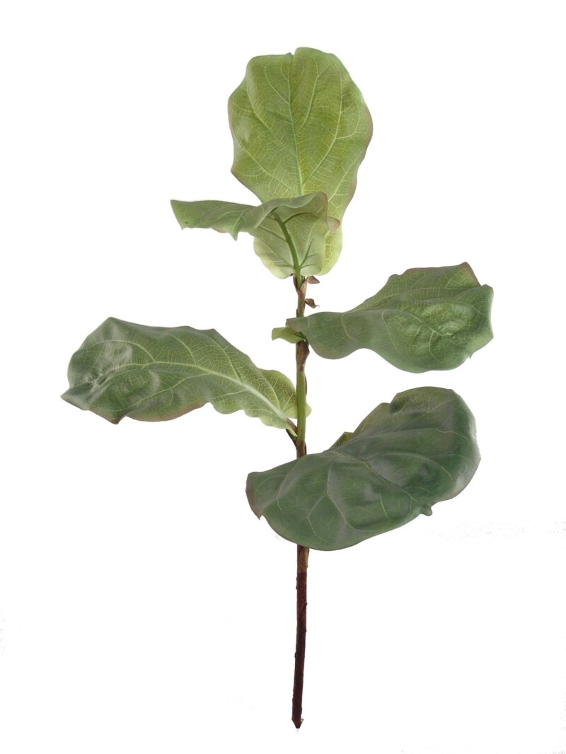 12-Pack: Fiddle Leaf Fig Spray with Silk Leaves, Floral Home by Artificial Flowers