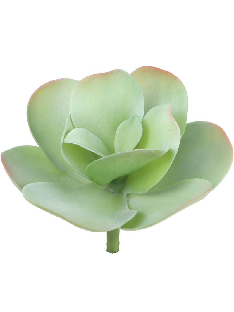 12-Pack: Real Touch Paddle Succulent Plant, 9&#x22; Wide by Floral Home&#xAE;