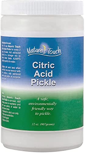 Nature's Touch Citric Pickle 2 Lb Jar Jewelry Making Silver Gold Brass Copper Stainless Steel Shot Metal Cleaning Solution