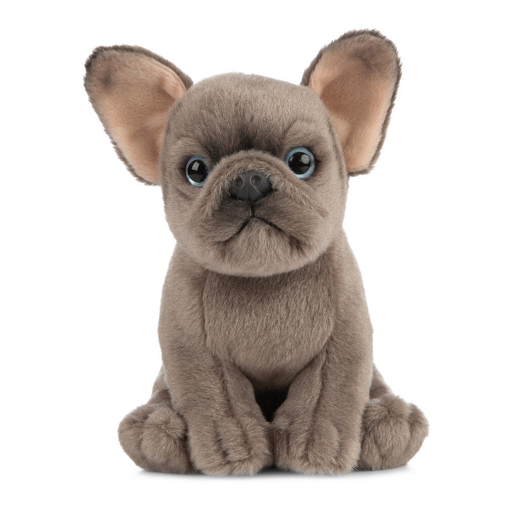 French Bulldog Puppy by LIVING NATURE - 6.5&#x22;