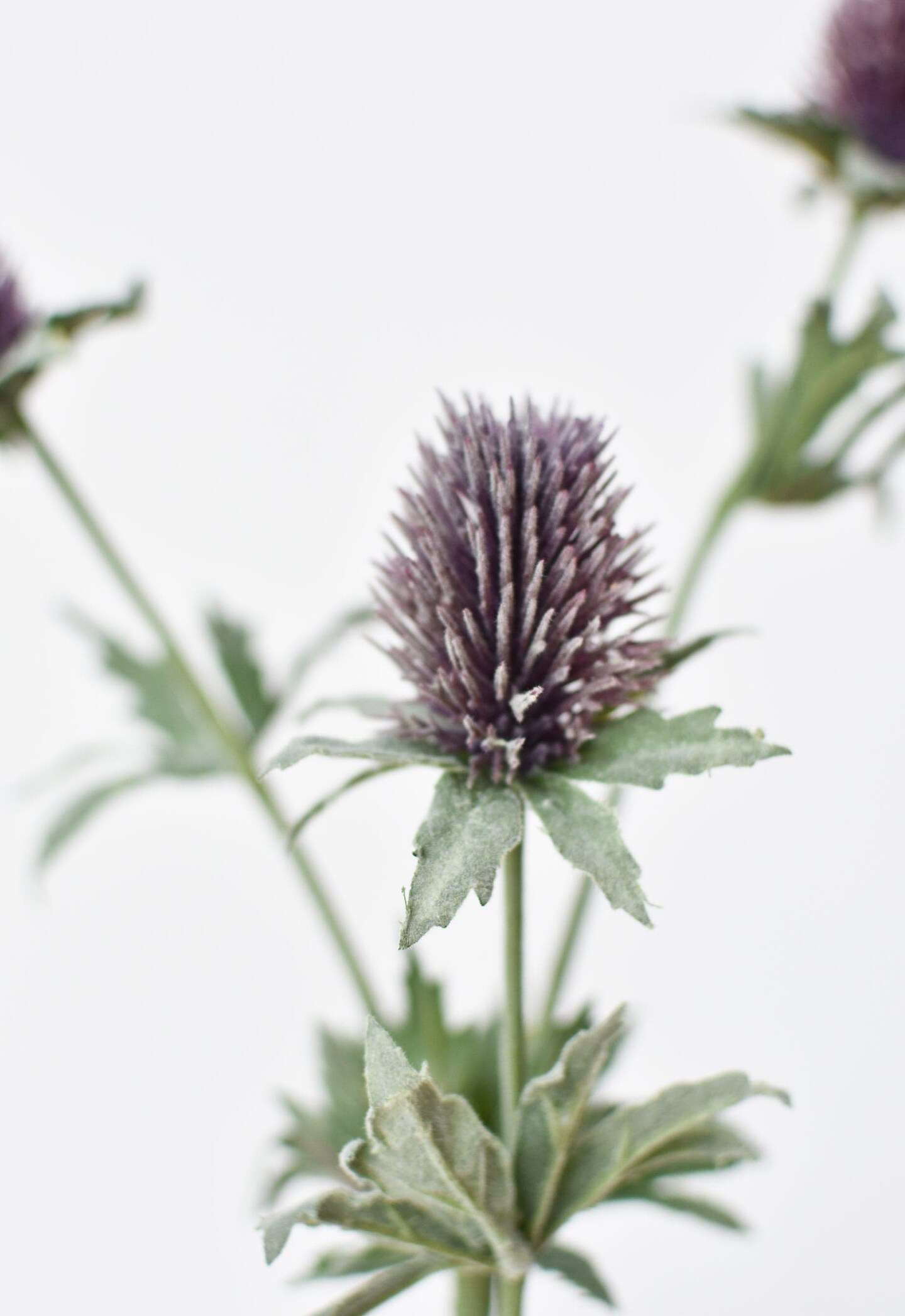 31&#x22; Faux Lavender Thistle Stem