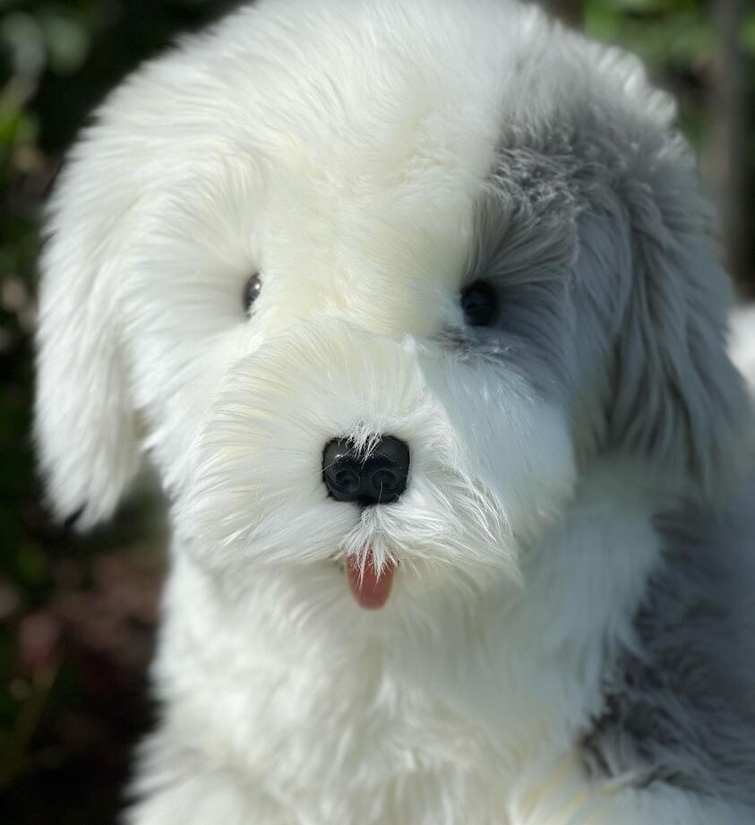 The Adorable 30-Inch Plush Sheepdog for Endless Cuddles and Comfort