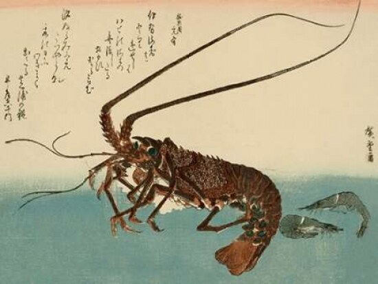 Shrimp and lobster Poster Print by  Ando Hiroshige - Item # VARPDX375052