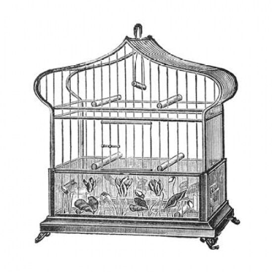 Etchings: Birdcage - Onion-peak top floral base. Poster Print by Catalog Illustration - Item # VARPDX454811