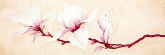 Magnolias II Poster Print by Elisabeth Verdonck - Item # VARPDX63083