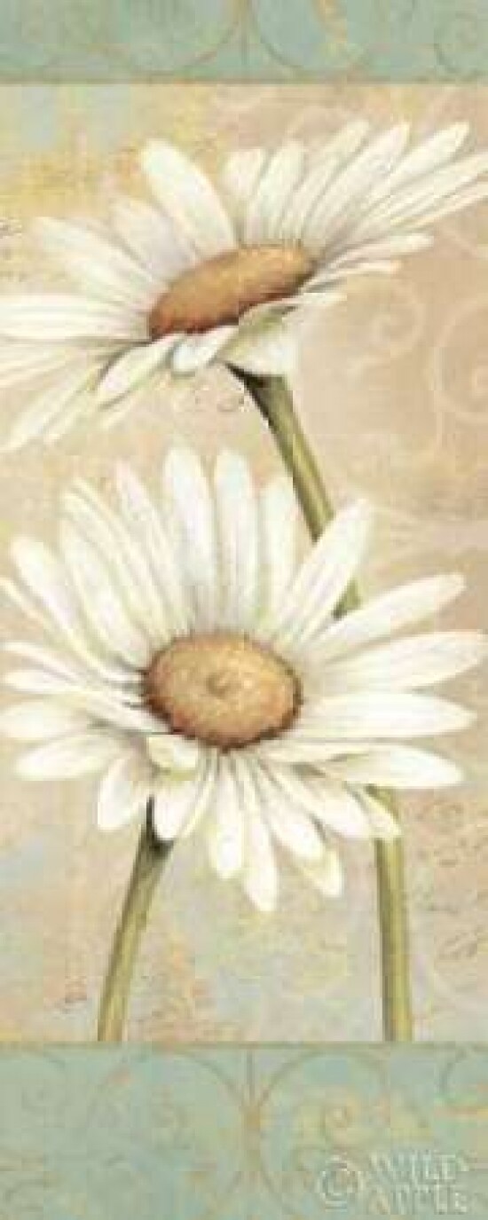 Beautiful Daisies II Poster Print by Daphne Brissonnet - Item # VARPDX1754