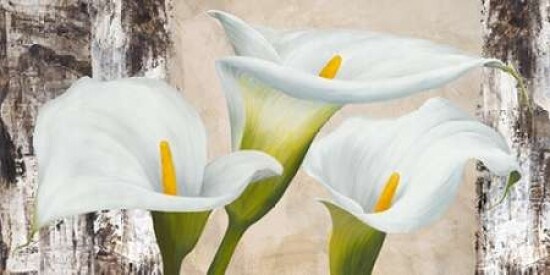 True Nature Poster Print by Jenny Thomlinson - Item # VARPDX2JT1370
