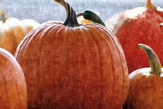 Fall Pumpkin Poster Print by Denise Romita - Item # VARPDXRB9649DR