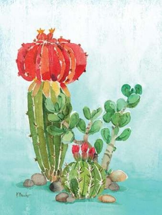 Cactus I Poster Print by Paul Brent - Item # VARPDXBNT1278