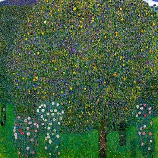 Roses Under Trees 1904 Poster Print by Gustav Klimt Item