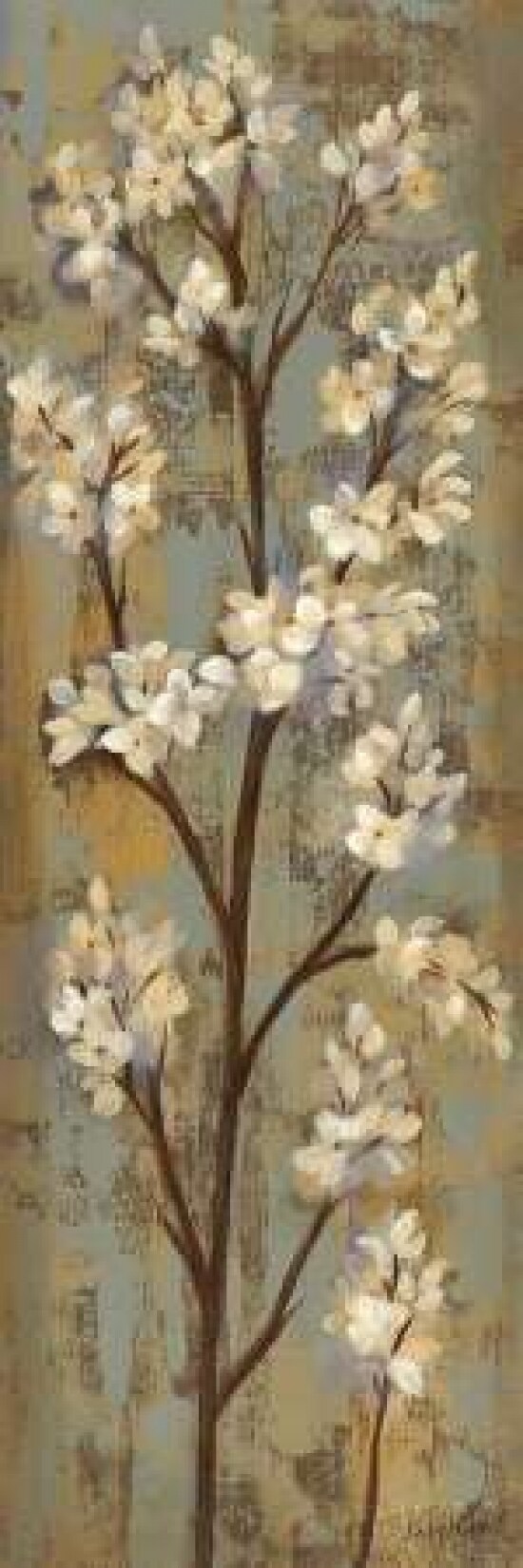 Almond Branch I Poster Print by Silvia Vassileva - Item # VARPDX9337