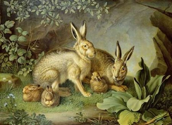 Hares and Leverets In a Rocky Lair Poster Print by Johann Wenzel Peter - Item # VARPDX267009