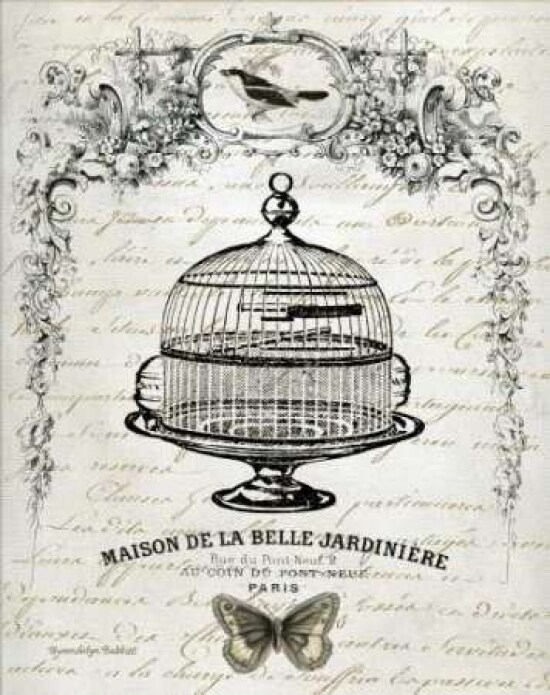 French Birdcage I Poster Print by Gwendolyn Babbit - Item # VARPDXBAB020