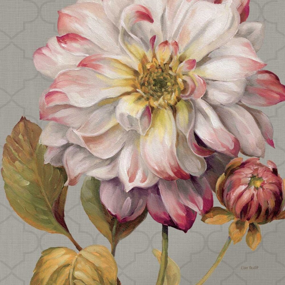 Classically Beautiful II Poster Print by Lisa Audit - Item # VARPDX14839