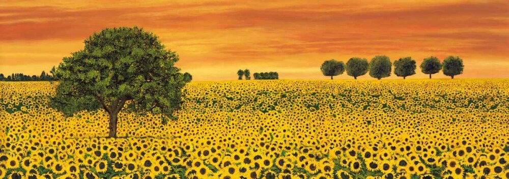 Field of Sunflowers Poster Print by Richard Leblanc # RL6350