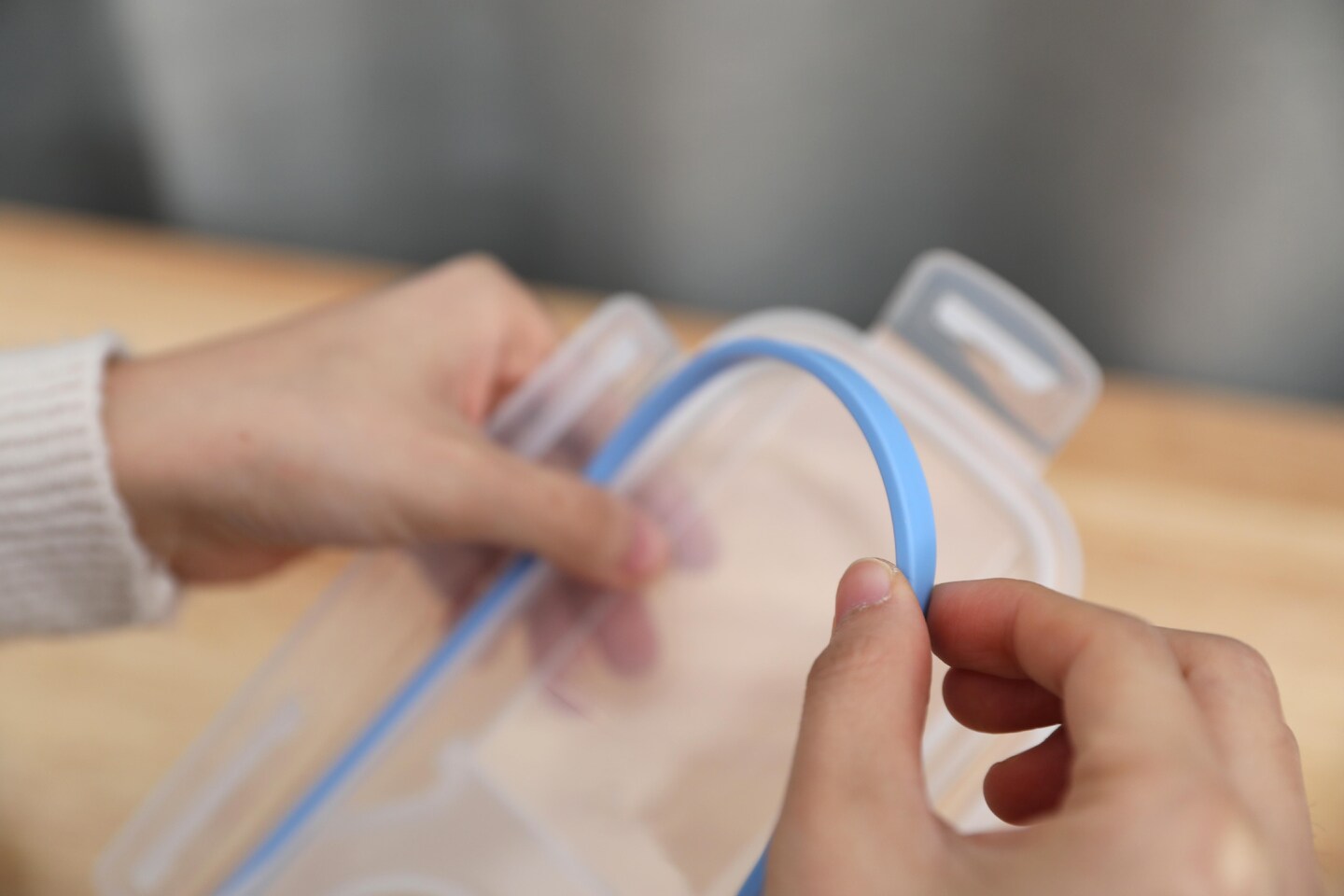 BPA-Free Plastic Food Containers with Airtight Spout Lid, Set of 2