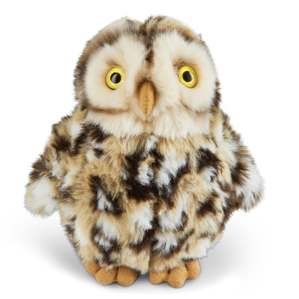 Little Owl by LIVING NATURE - 6.5&#x22;